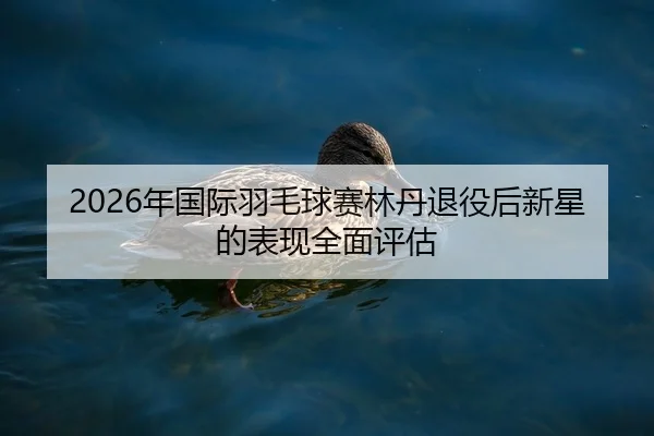 2026年国际羽毛球赛林丹退役后新星的表现全面评估