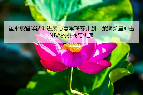 崔永熙留洋试训进展与夏季联赛计划：龙狮新星冲击NBA的挑战与机遇