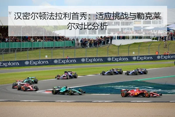 han-mi-er-dun-fa-la-li-shou-xiu-shi-ying-tiao-zhan-yu-lei-ke-lai-er-dui-bi-fen-xi-2-313.jpg
