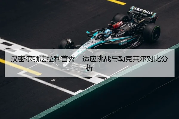 han-mi-er-dun-fa-la-li-shou-xiu-shi-ying-tiao-zhan-yu-lei-ke-lai-er-dui-bi-fen-xi-3-546.jpg